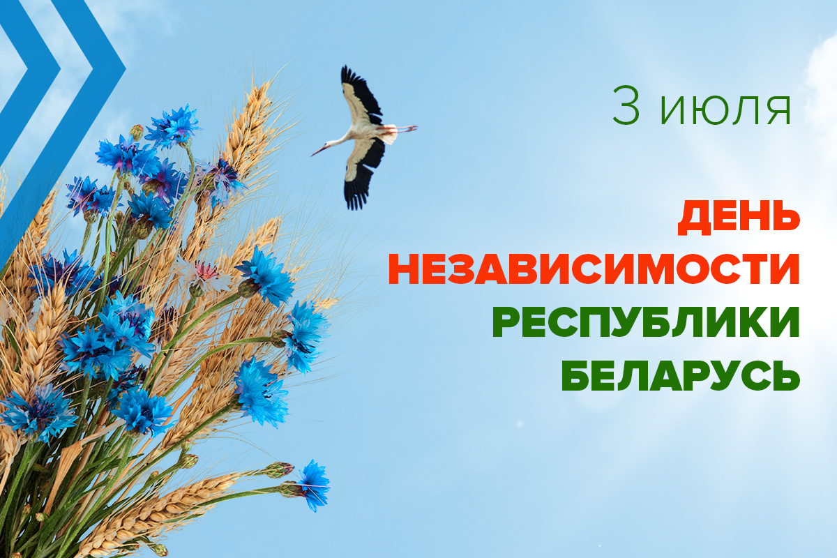 Поздравление НЦПИ с Днем Независимости Республики Беларусь